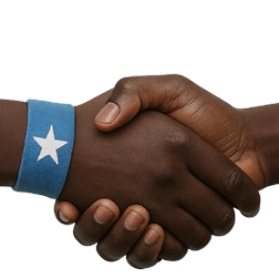 Professional services and jobs